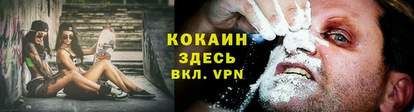 СК Гусев