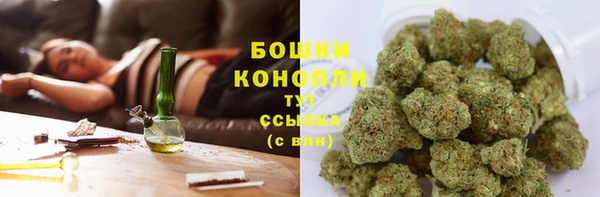 СК Гусев