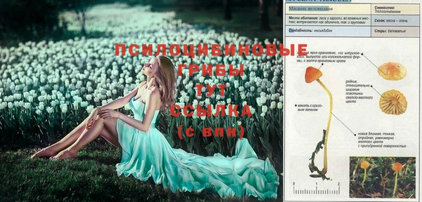 стафф Гусиноозёрск