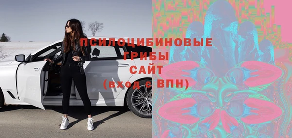 стафф Гусиноозёрск